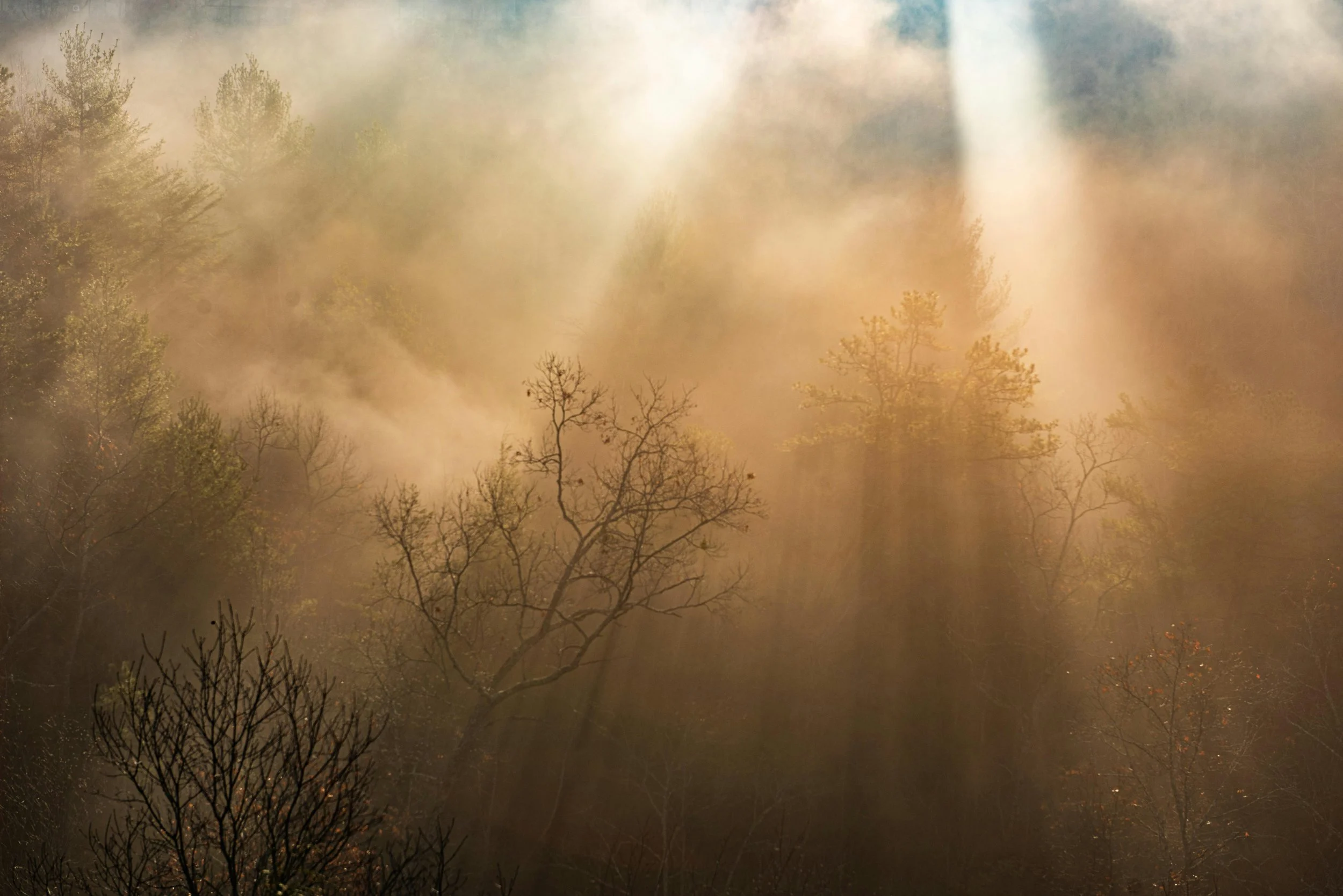 The Gods Stand With You, Even in Defeat: Fascism, Crises of Faith, and Spiritual Allies